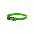 Collar Para Perro, color Verde