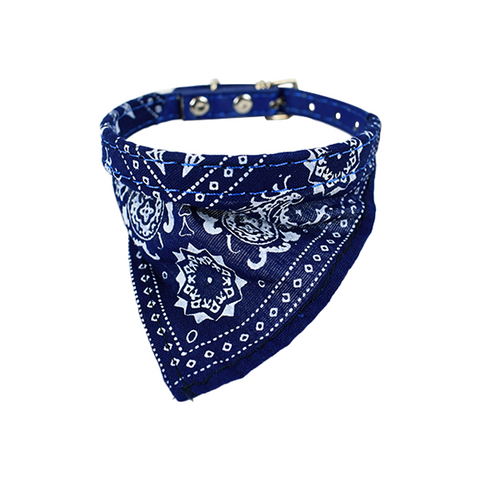 Collar decorado regional razas pequeñas color Azul