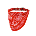 Collar decorado regional razas pequeñas color Rojo