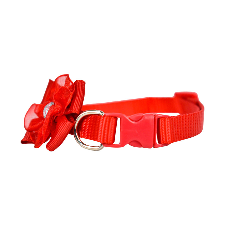 Collar para Mascota con Flor Roja