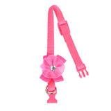 Collar para Gato color Rosa