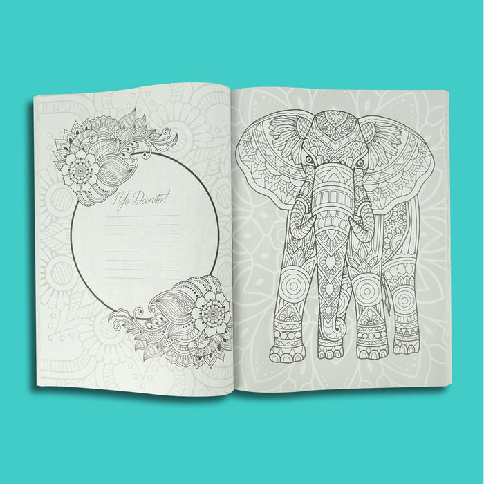 Libro de Colorear Para Adultos | Volumen 5 |: 50 Diseños de Colores Para  Aliviar y Relajar el Estrés - Alta Calidad - Serie de Libros de Colorear  Para