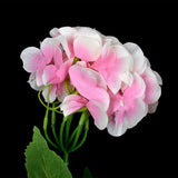 Hortensia Artificial color Rosa