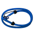 Cordón elástico con Gancho 80cm color Azul